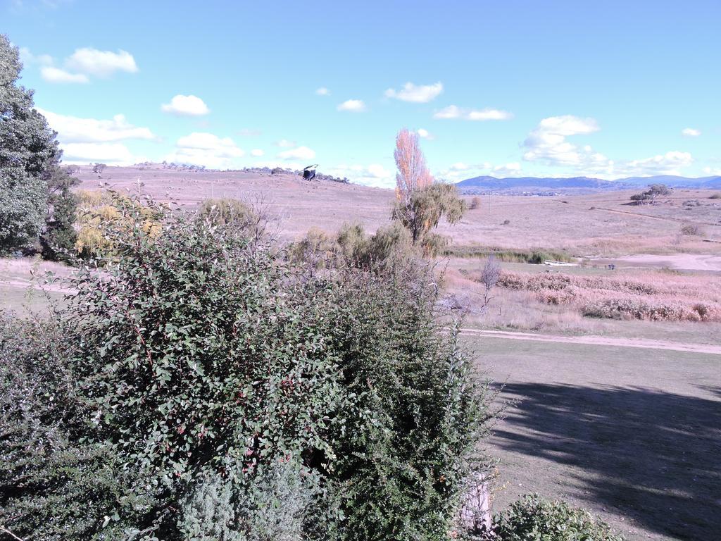 Siesta Villa Jindabyne Exteriör bild
